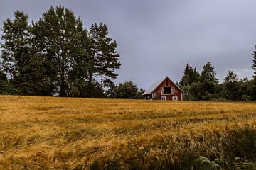 Schuur in Zweden voor een graanveld von Tim Laan