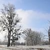 Baum im  Winter in den Saalewiesen bei Bad Neustadt von Martin Flechsig