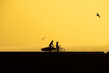 Surf transport in the dutch way by Bart Hageman Photography