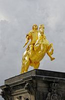 Gouden Ruiter