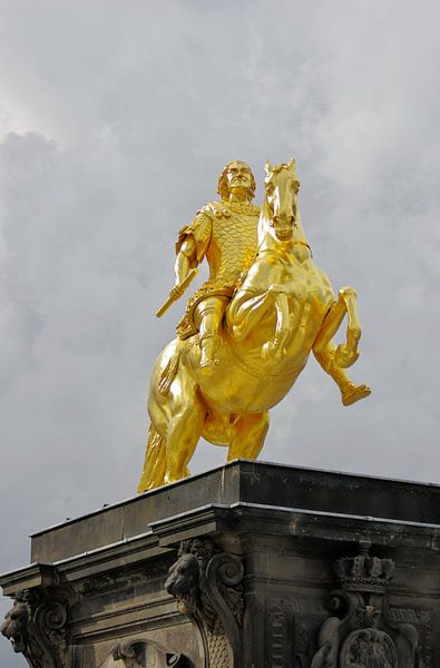 Golden Rider by Daniel Dorst