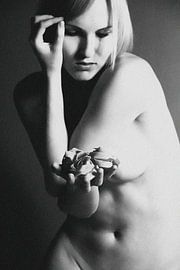 Frauenakt by Falko Follert