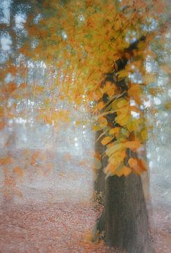 Feuilles battantes sur natascha verbij