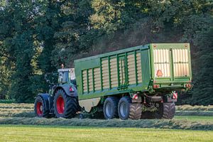 Grüner Traktor holt im Sommer in den Niederlanden geschnittenes Gras ab