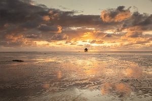 Spektakel in de lucht boven de Waddenzee sur KB Design & Photography (Karen Brouwer)