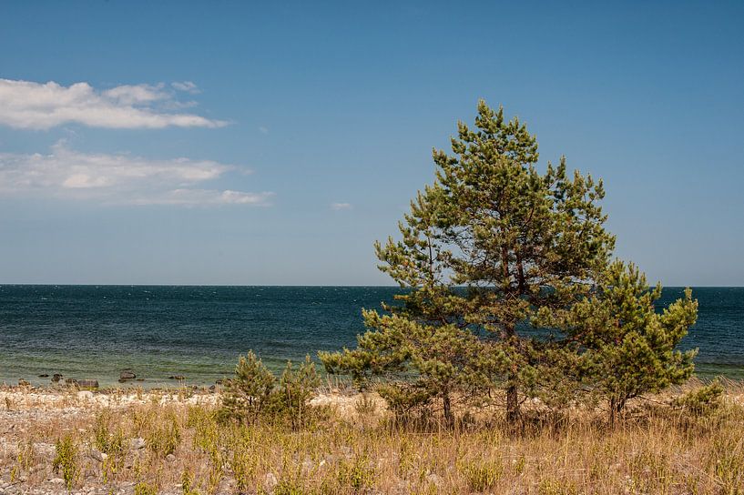 Vue sur la mer Öland Suède par Lysanne Artcrafx