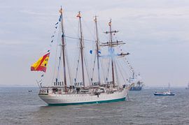 Saluutschoten von Brian Morgan