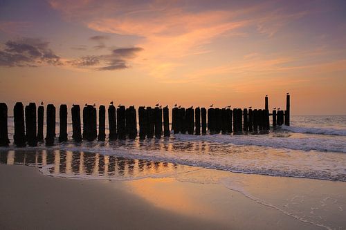 Domburg Strand 001