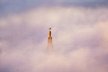 Nebelversunkenes Freiburg von Patrick Lohmüller