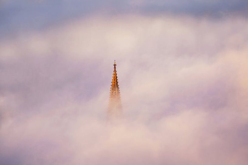 Freiburg engulfed in fog by Patrick Lohmüller
