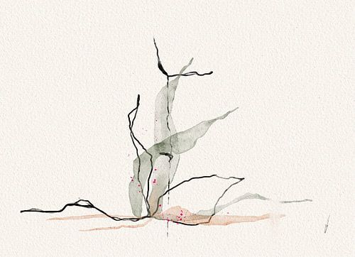 FANTASIC PLANTS, and where to find them