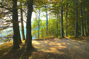 Herbst an der Kreideküste von Ostsee Bilder
