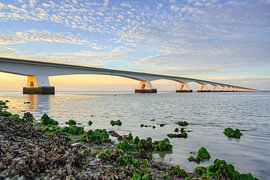De Zeelandbrug ’s avonds