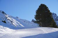 Bluebird! Piste fraîchement préparée dans l'Ötztal/Oetztal in Tirol (Autriche)