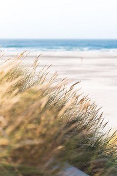 Strand Terschelling van Patrick Verheij