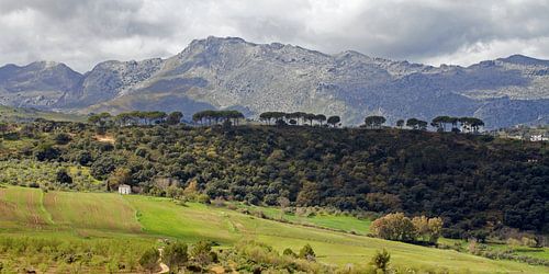 SERRANIA DE RONDA Berglandschap - la serrania