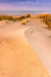 Lignes sur une dune sur Sander Poppe