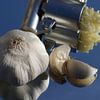 Geurige Knoflook        von Astrid Koning Priester
