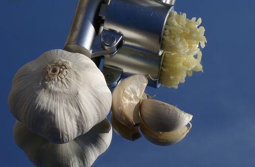 Geurige Knoflook       