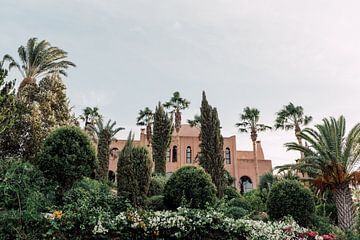 Palm trees | South Africa Travel Photography by Yaira Bernabela