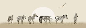 Zebraherde
