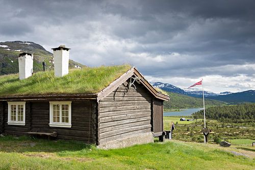 Traditioneel Noors chalet met groen dak