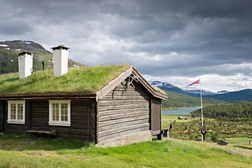 Traditioneel Noors chalet met groen dak van iPics Photography