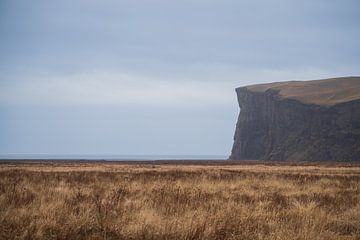 Berg in plat Landschap van Bart Gort