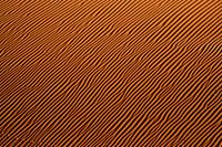 Rode zebra Illusie V1