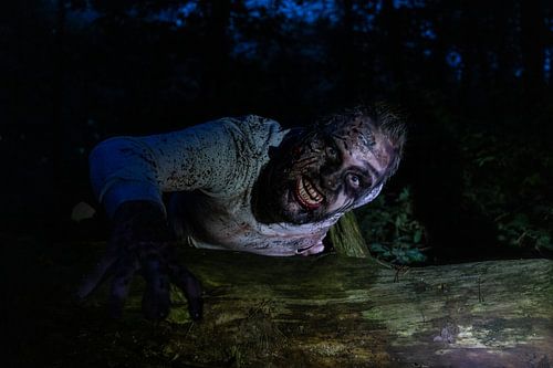 The Shadow of the Night: A terrifying encounter with the undead