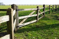 Meadow with fence