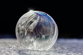 Frozen feathers by Nanouk el Gamal - Wijchers (Photonook)