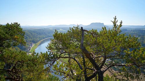 de rivier de Elbe in het Elbezandsteengebergte bij Rathen