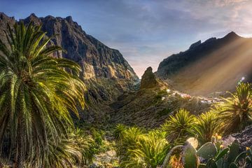Ongerept landschap in de buurt van het dorp Masca op Tenerife. van Voss Fine Art Fotografie