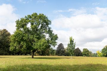 Rosenstein Park. van Richard Wareham