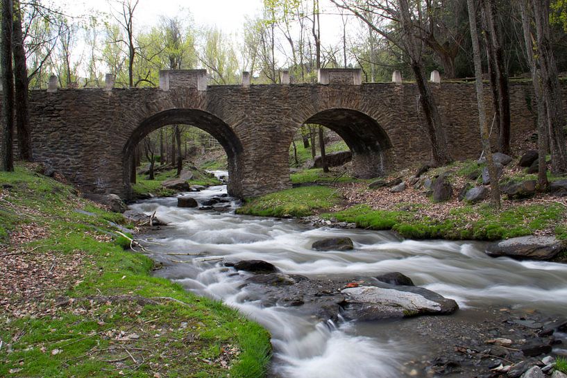 The Stone Bridge by Cornelis (Cees) Cornelissen