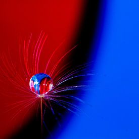 Nokkie Muntajit profielfoto