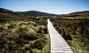 Ein Weg durch die Berge von Anne Loman