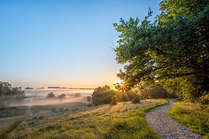 Lever de soleil et brume sur le Brunssummerheide