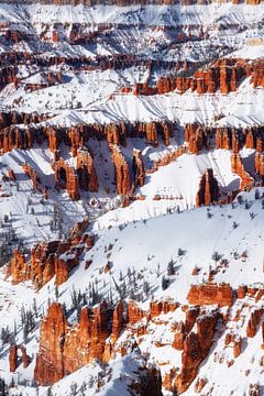 Pause neige sur Martin Podt