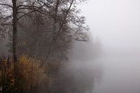 Mist aan het meer