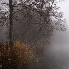 Brouillard sur le lac sur Franz Nagler