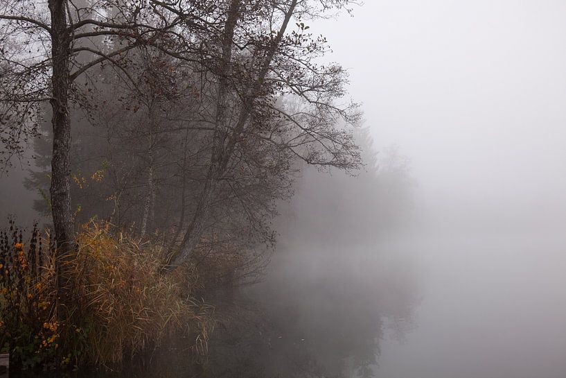 Fog at the lake by Franz Nagler