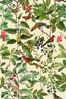 Le printemps dans le jardin des oiseaux