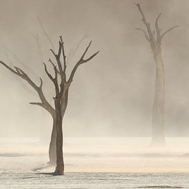 Zandstrom in Deadvlei van Remco Donners