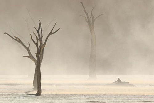Sandstrom in Deadvlei