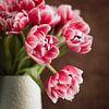 Roze tulpen in een vaas van Lorena Cirstea