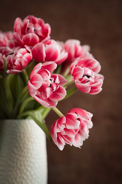 Pink tulips in a vase by Lorena Cirstea
