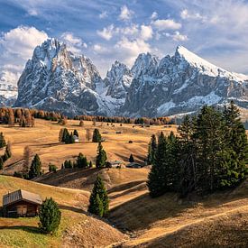 Herfst op de Seiser Alm van Achim Thomae Photography