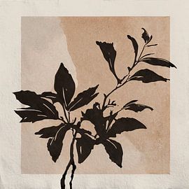 Minimalistische Illustration: Silhouette von Blättern auf Papierhintergrund